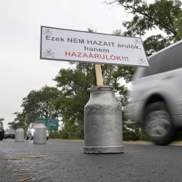 Tejtermelõk demonstrációja - Nagytarcsa