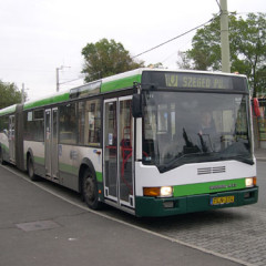 Elvándorolnának a szegedi járművezetők?